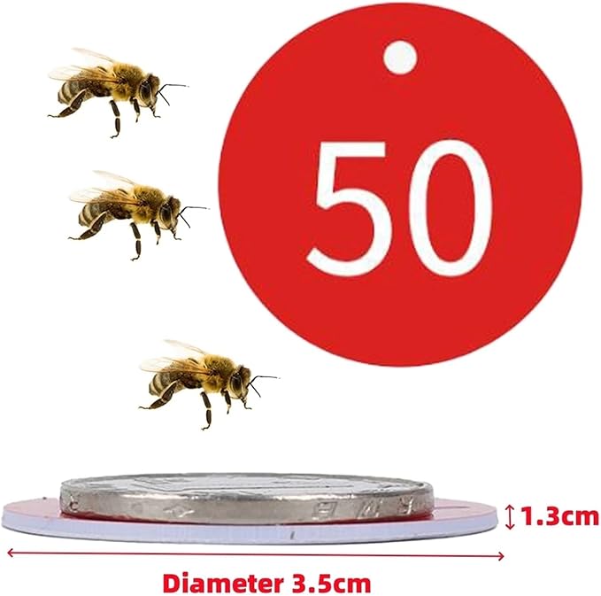 Round Plastic Engraved Number Discs Key Tags Beehive Multicolor 3.5cm Diameter Pack of 100 1 to Sequential