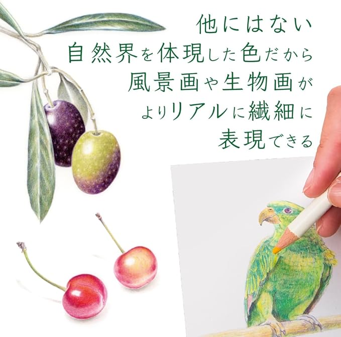 Tombow Pencil CI-RV7-6P Colored Pencils Color Dictionary Solid Color River Color 6 Pieces