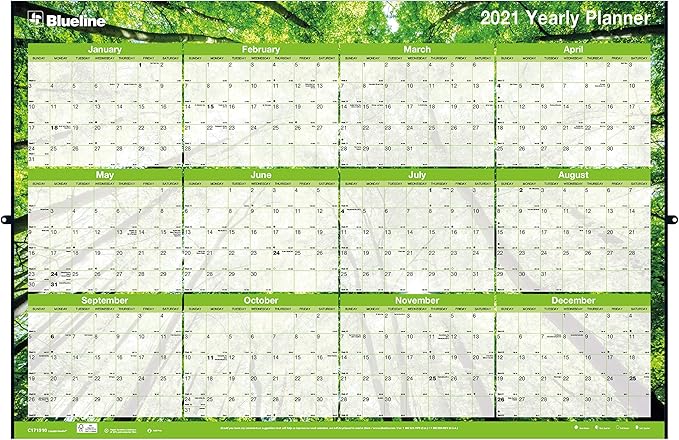 Blueline 2021 Yearly Horizontal/Vertical Wall Planner Laminated 24 x 36 inches Nature (C171910-21)