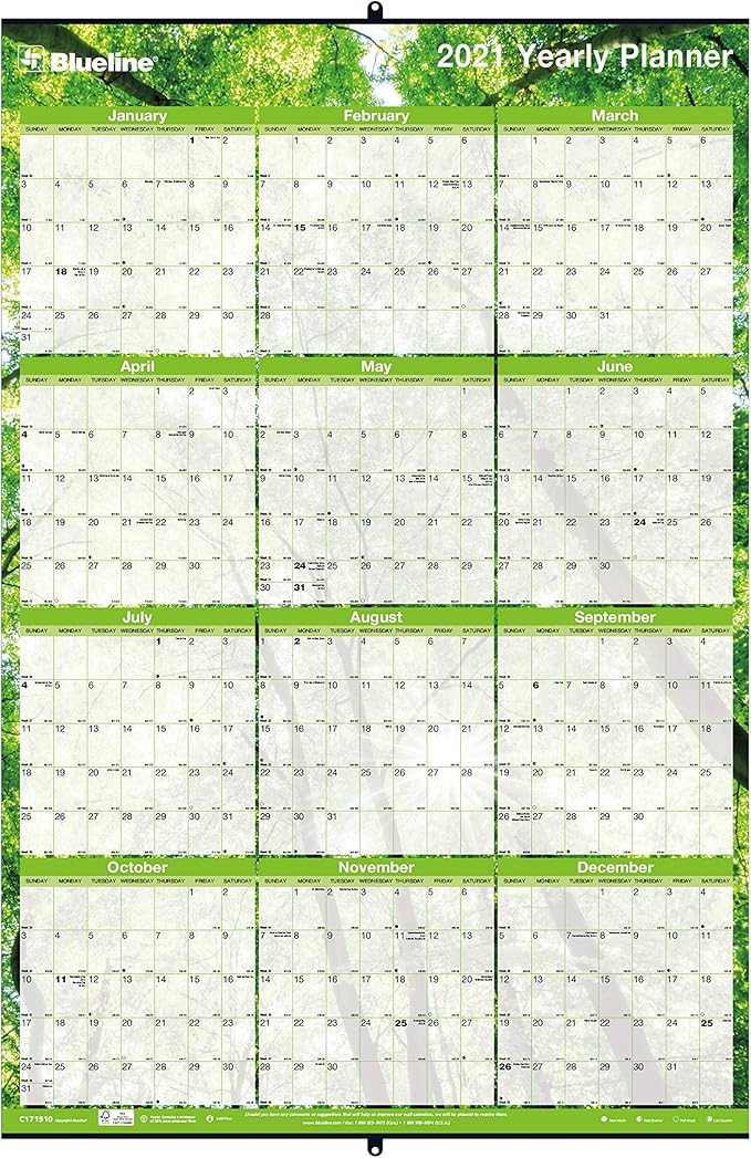 Blueline 2021 Yearly Horizontal/Vertical Wall Planner Laminated 24 x 36 inches Nature (C171910-21)